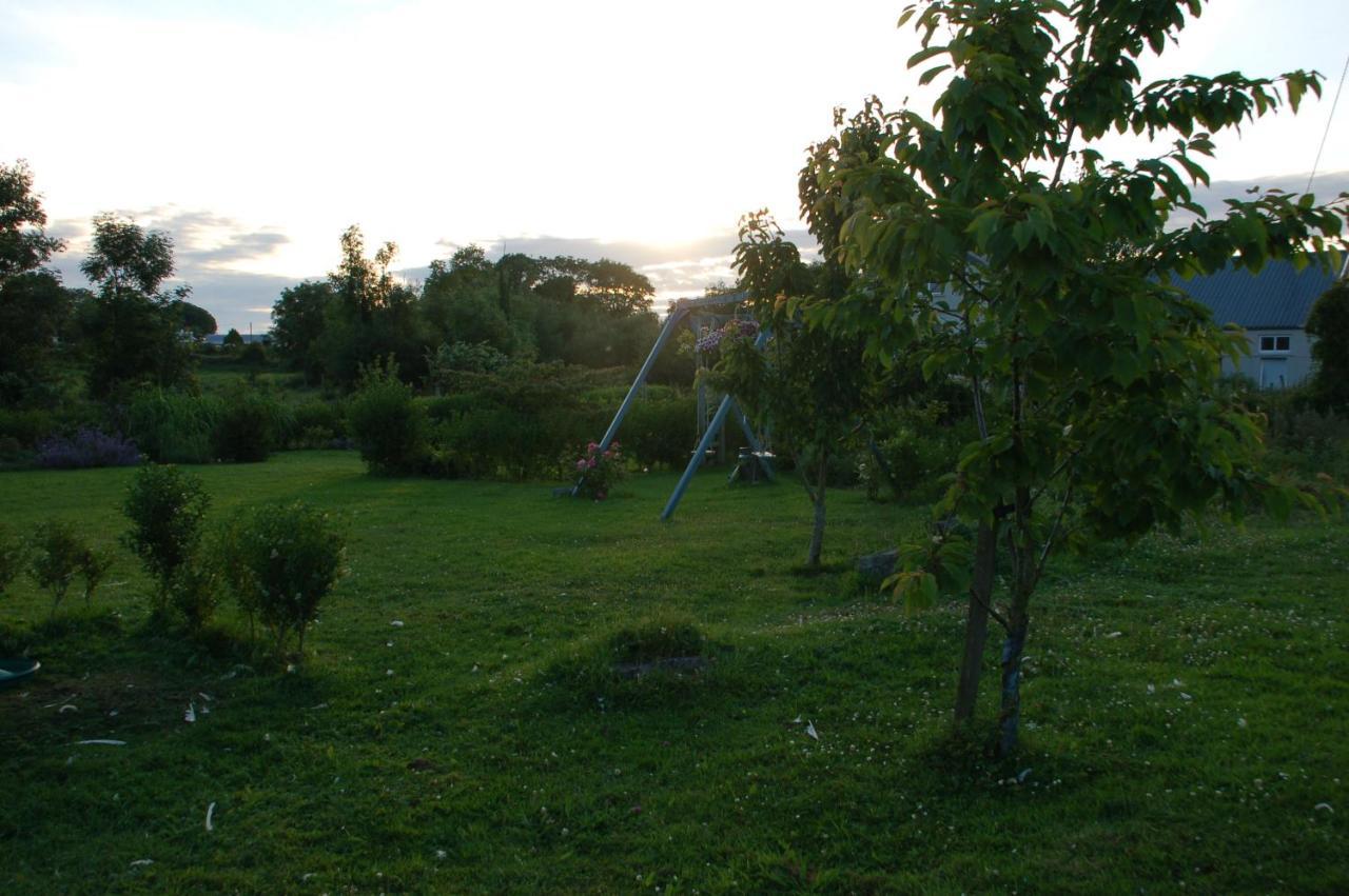 The Little Flock Farm Bed & Breakfast Cloonmore Exterior photo